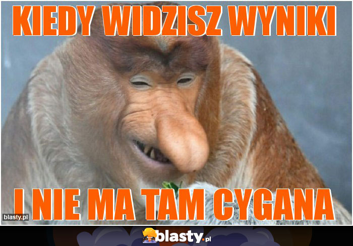 Kiedy widzisz wyniki