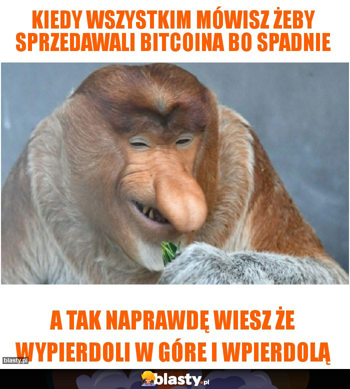 Kiedy wszystkim mówisz żeby sprzedawali Bitcoina bo spadnie