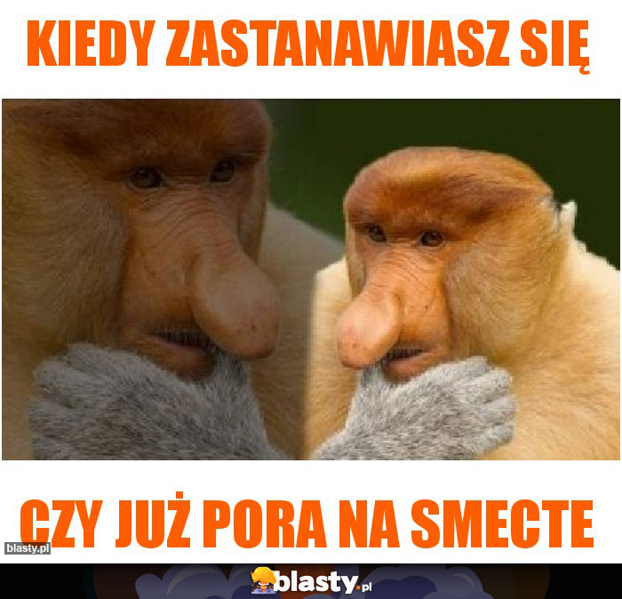 Kiedy zastanawiasz się