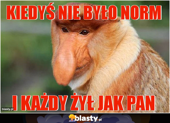 Kiedyś nie było norm