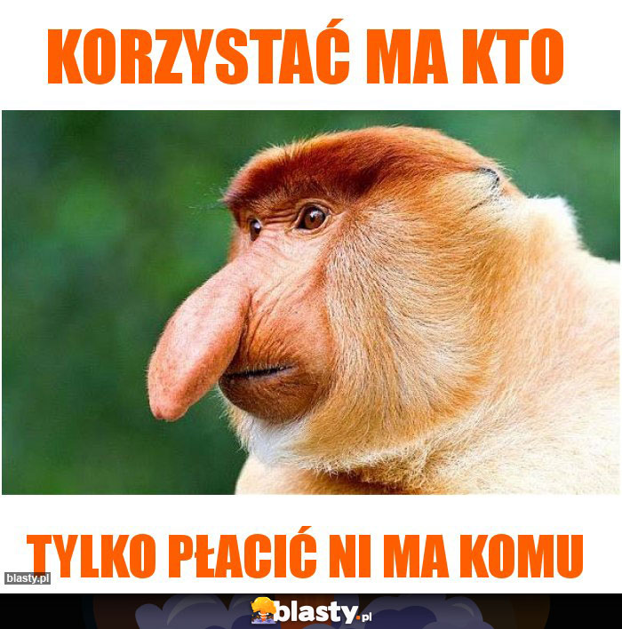 Korzystać ma kto