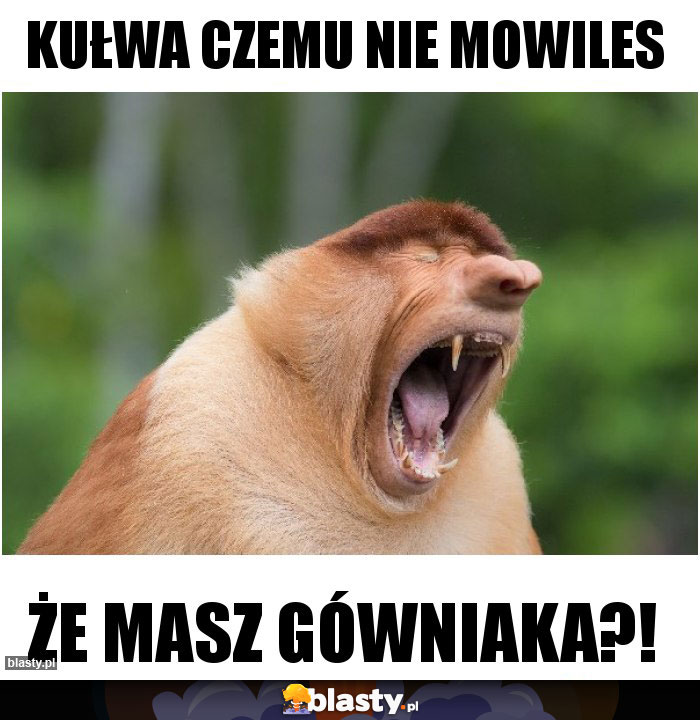 Kułwa czemu nie mowiles