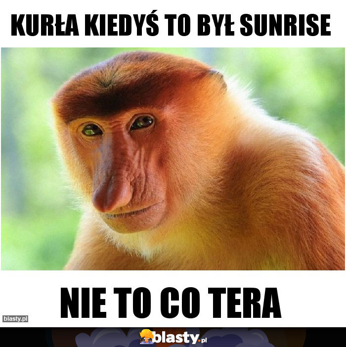 KURŁA KIEDYŚ TO BYŁ SUNRISE