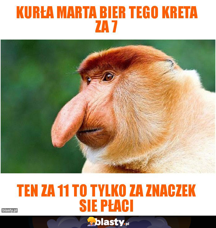 Kurła Marta bier tego kreta za 7