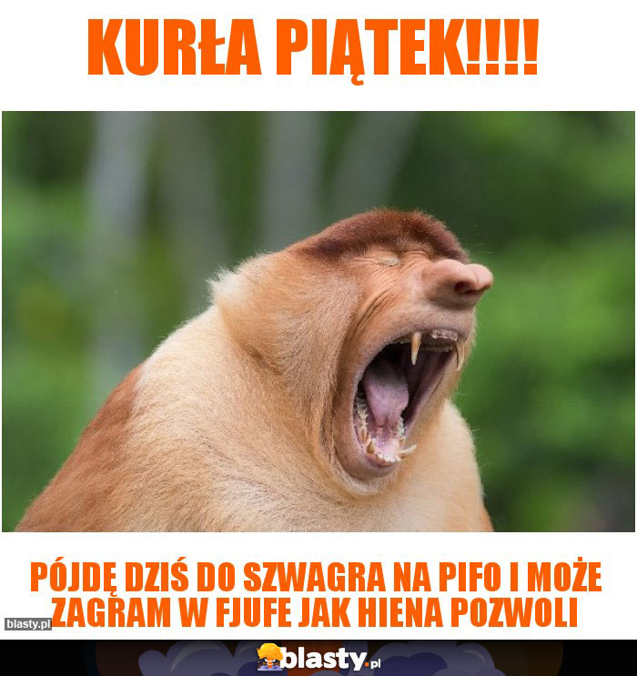 Kurła piątek!!!!