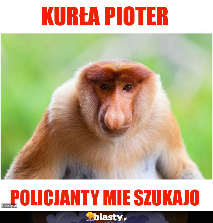 Kurła Pioter