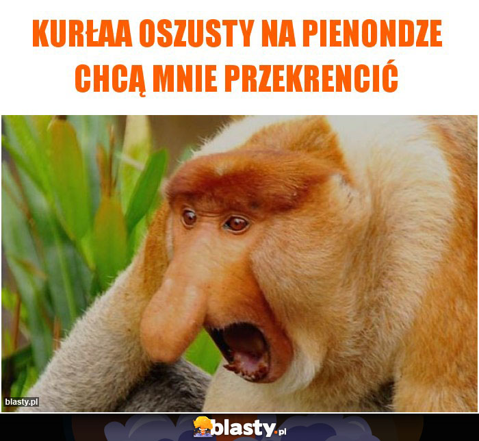 Kurłaa oszusty na pienondze chcą mnie przekrencić