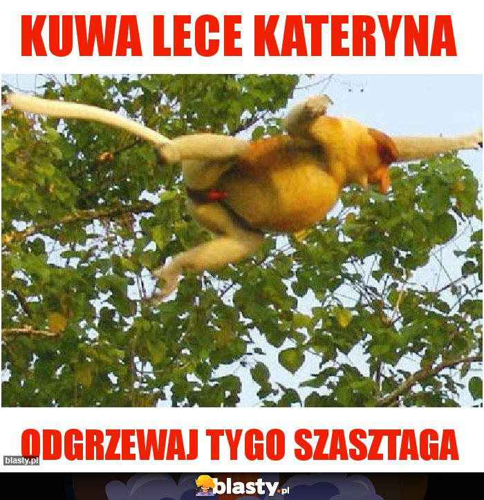 Kuwa lece kateryna