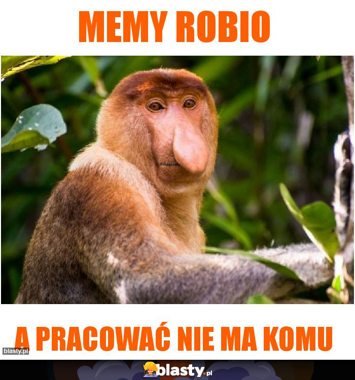 memy robio