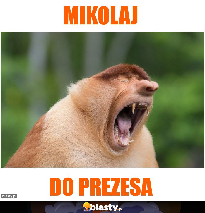 Mikolaj