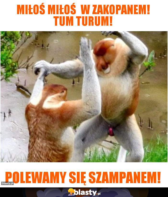 Miłoś Miłoś  W Zakopanem! Tum turum!