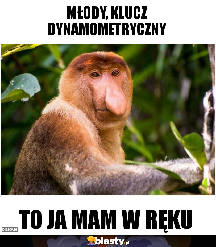 Młody, klucz dynamometryczny