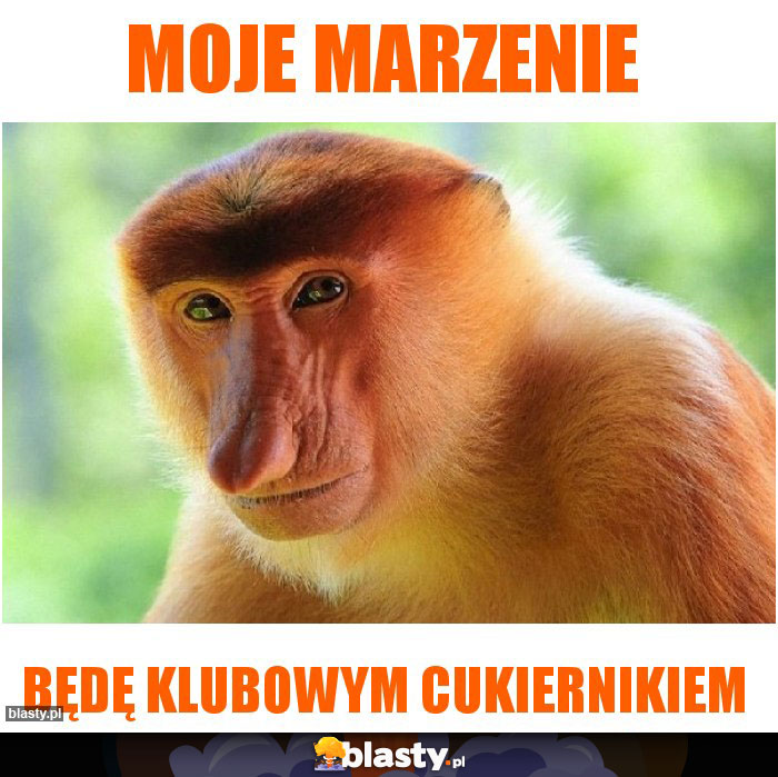 Moje marzenie