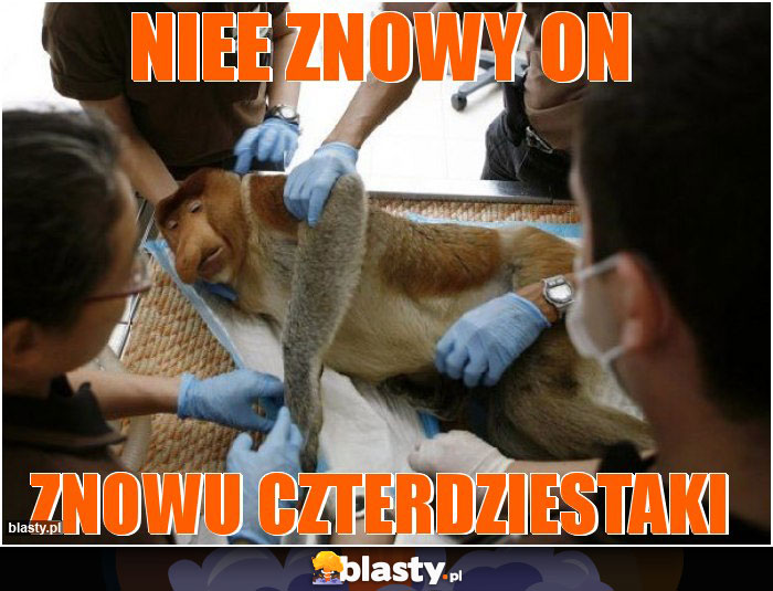 Niee znowy on