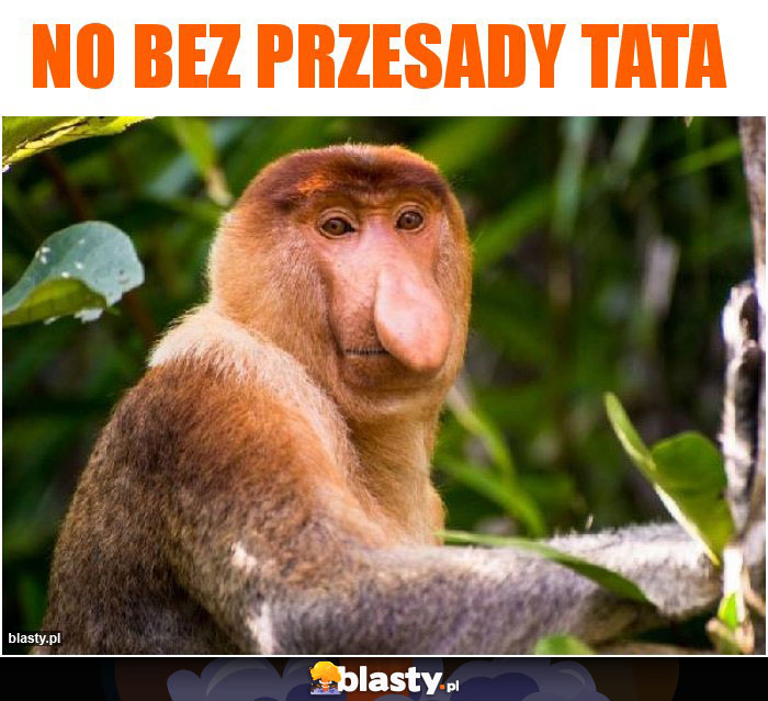 No bez przesady tata