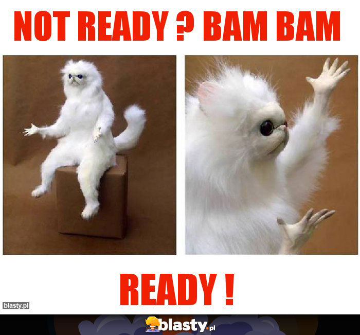 not ready ? bam bam