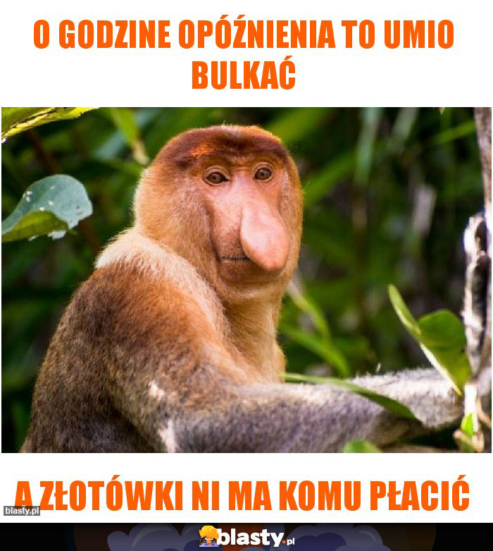 O GODZINE OPÓŹNIENIA TO UMIO BULKAĆ