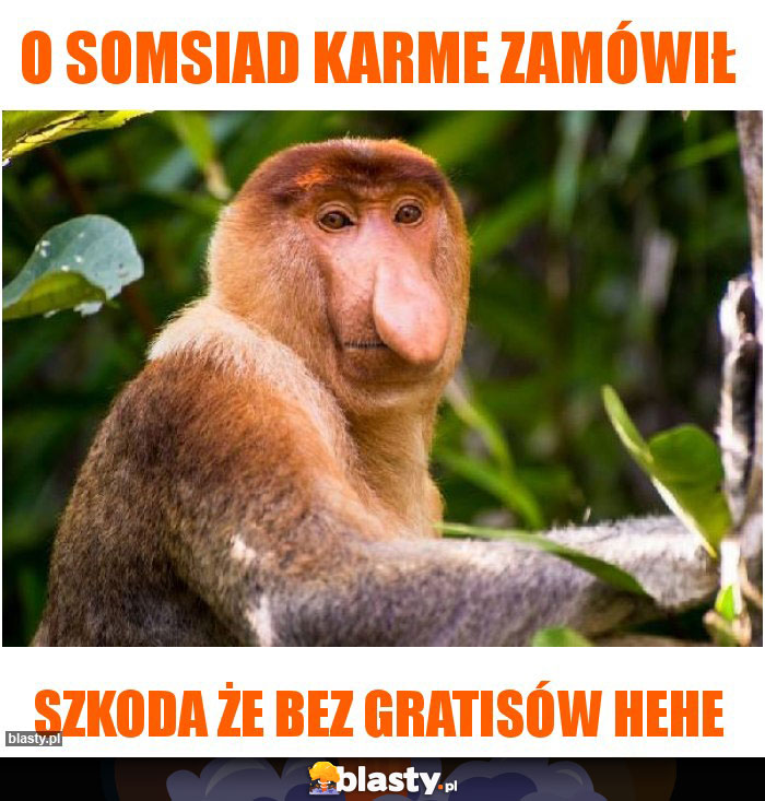 o somsiad karme zamówił