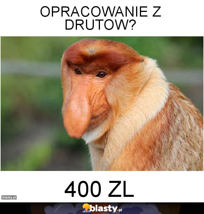 OPRACOWANIE Z DRUTOW?