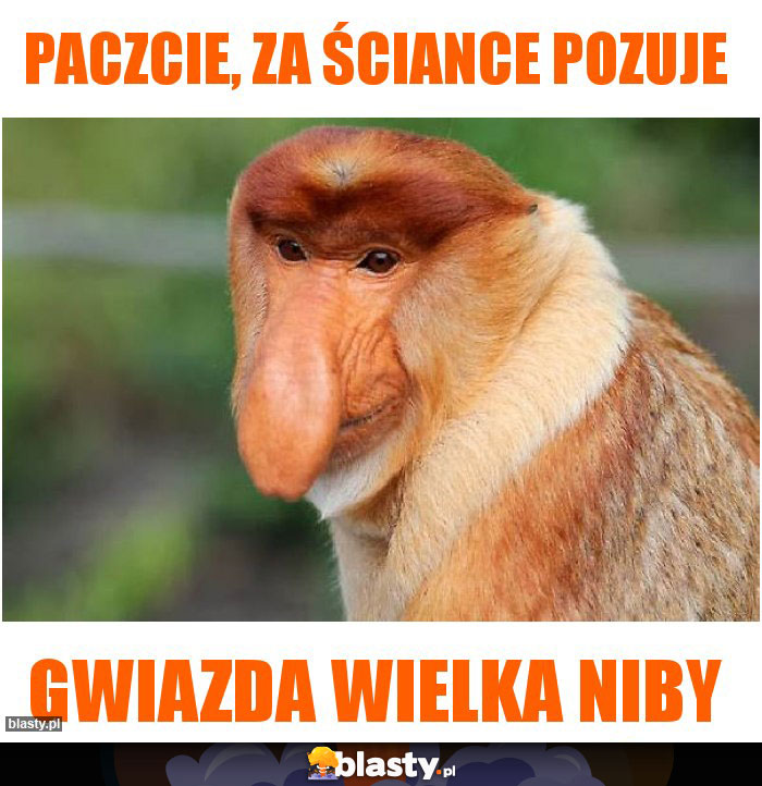 Paczcie, za ściance pozuje