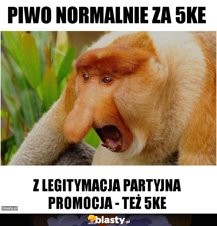 piwo normalnie za 5ke