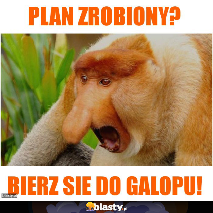 PLAN ZROBIONY?