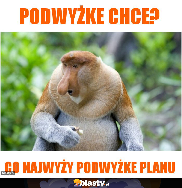 PODWYŻKE CHCE?