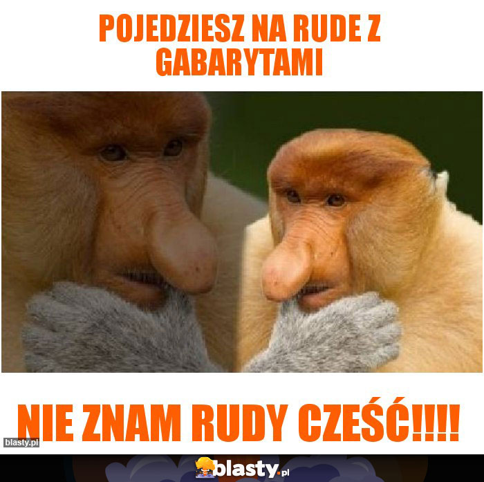 pojedziesz na rude z gabarytami