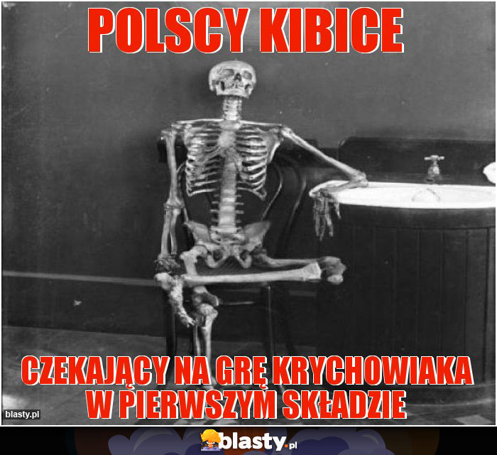 polscy kibice