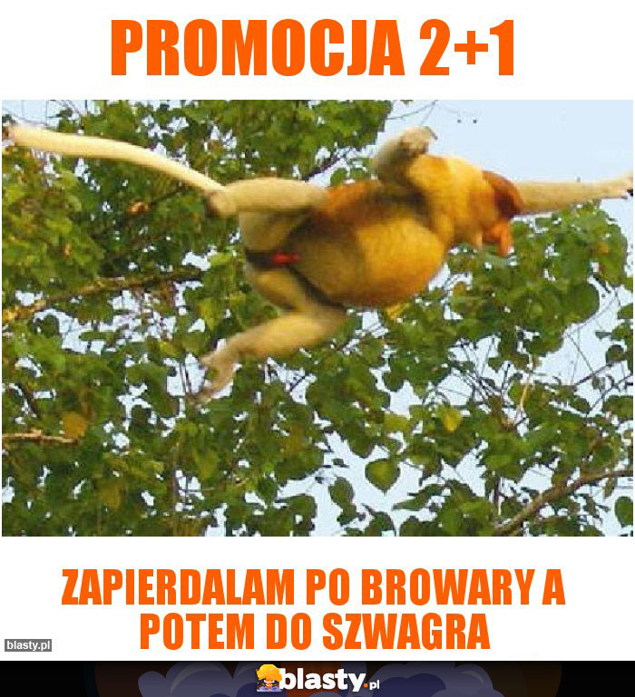 Promocja 2+1