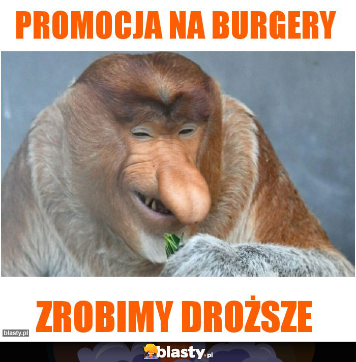 promocja na burgery