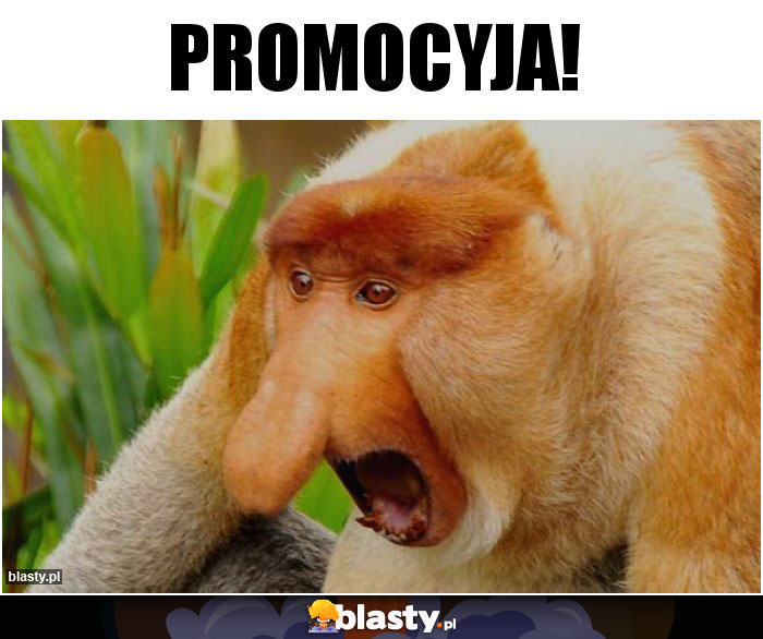 PROMOCYJA!