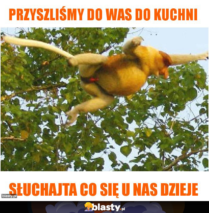 PRZYSZLIŚMY DO WAS DO KUCHNI