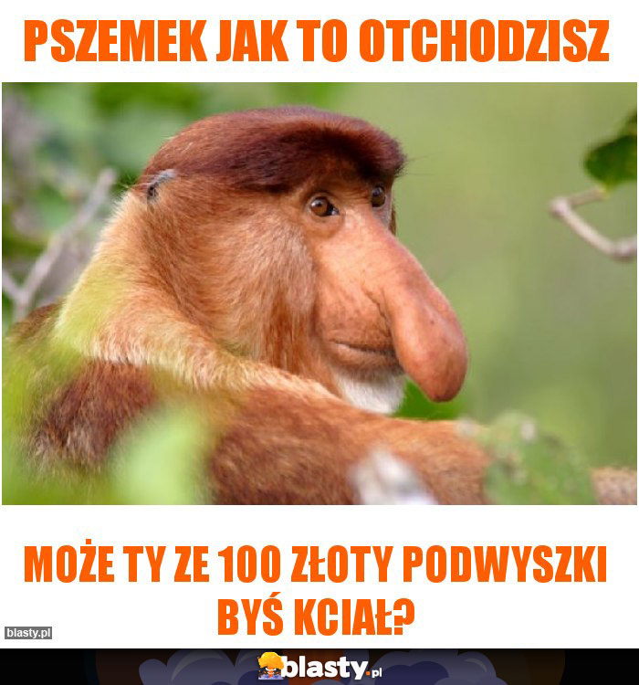 pszemek jak to otchodzisz