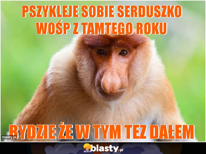 Pszykleje sobie serduszko WOŚP z tamtego roku