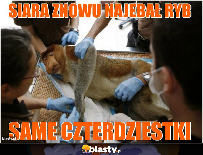 Siara znowu najebał ryb