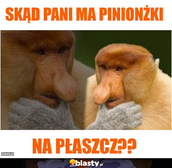 SKĄD PANI MA PINIONŻKI