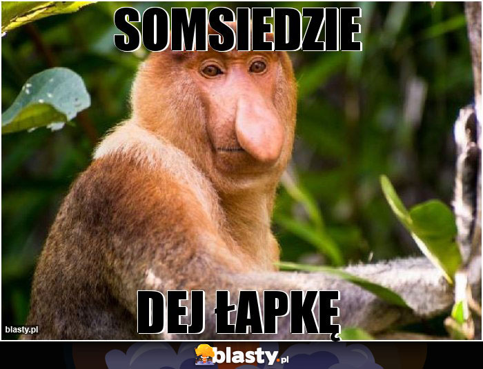 SOMSIEDZIE