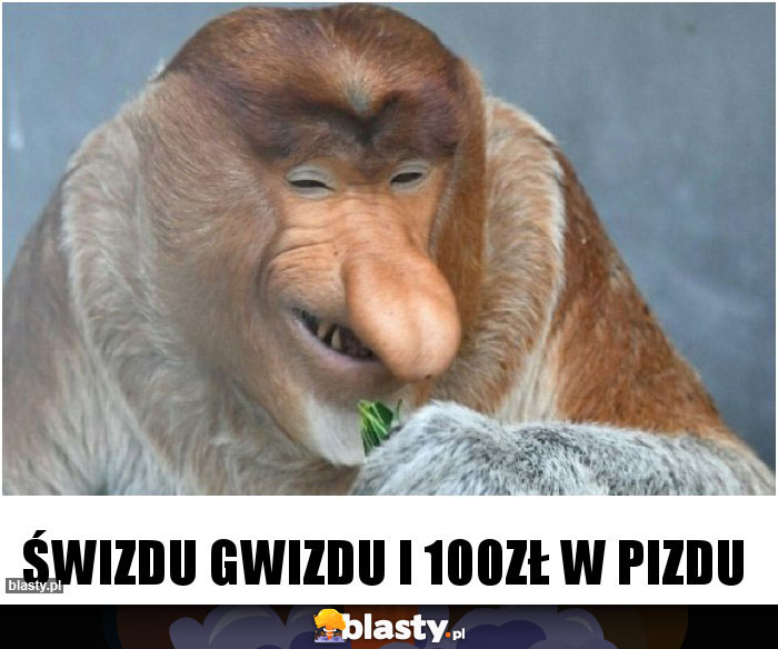 ŚWIZDU GWIZDU I 100ZŁ W PIZDU