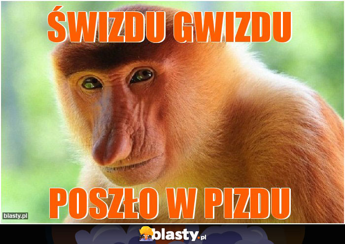 świzdu gwizdu