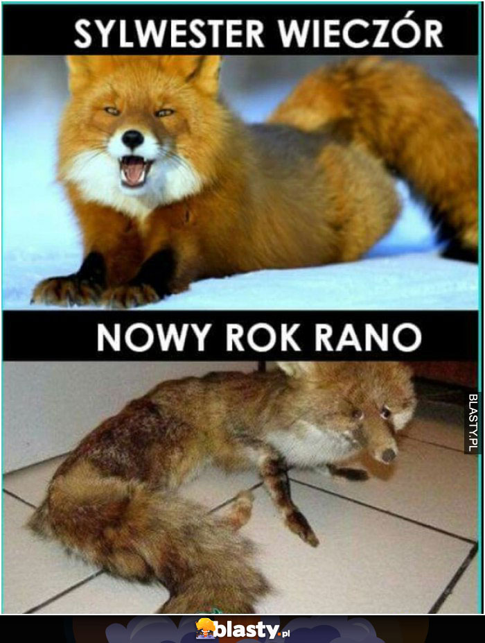 Sylweste vs nowy rok