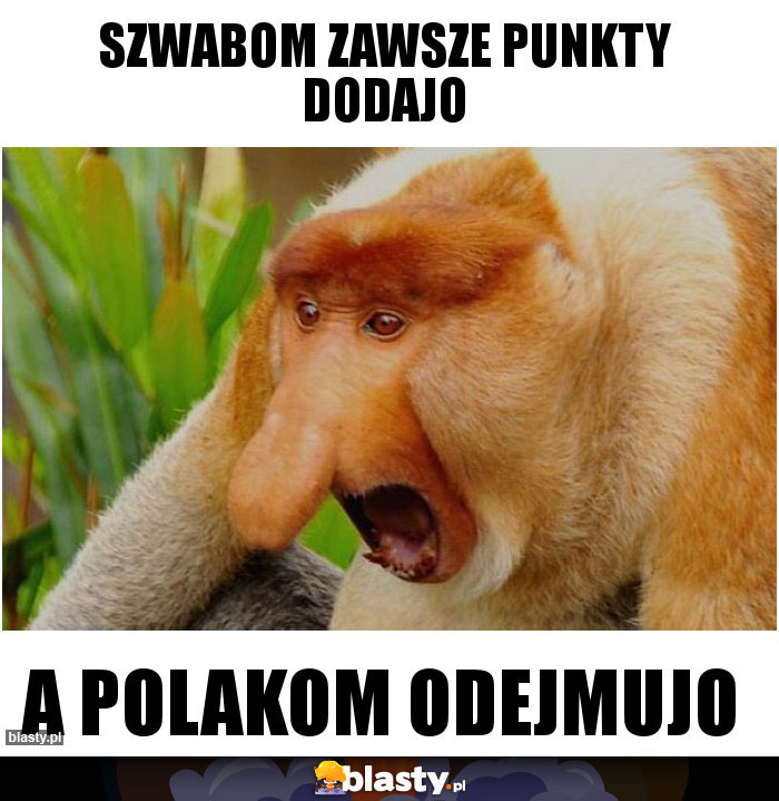 Szwabom zawsze punkty dodajo