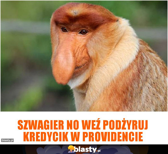 SZWAGIER NO WEŹ PODŻYRUJ KREDYCIK W PROVIDENCIE