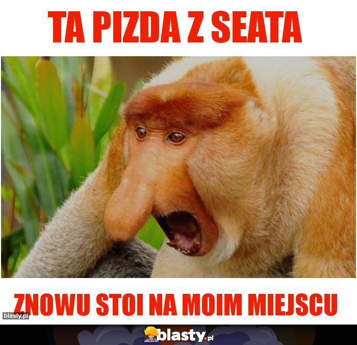 Ta pizda z seata