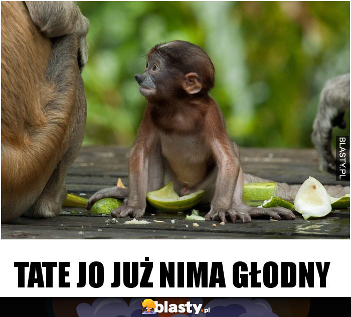 TATE JO JUŻ NIMA GŁODNY