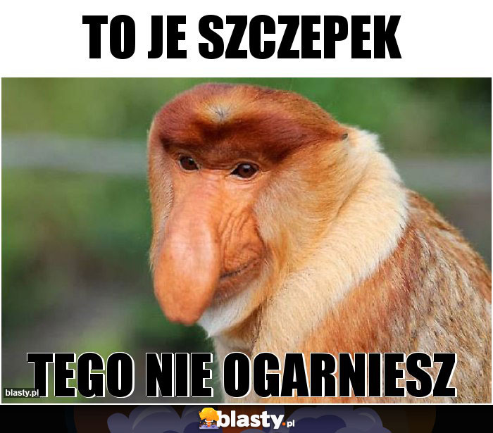 To je Szczepek