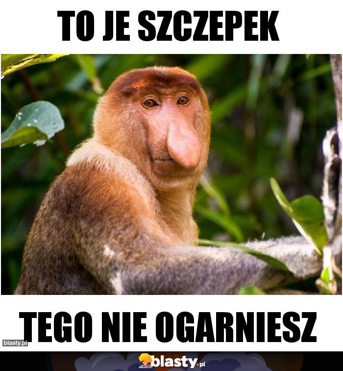 To je Szczepek