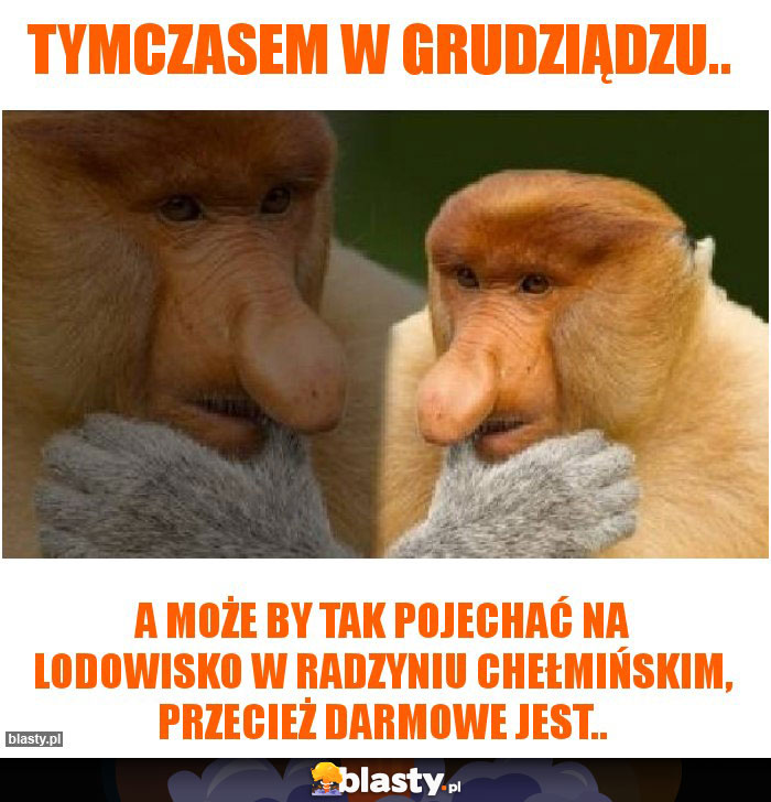 Tymczasem w Grudziądzu..