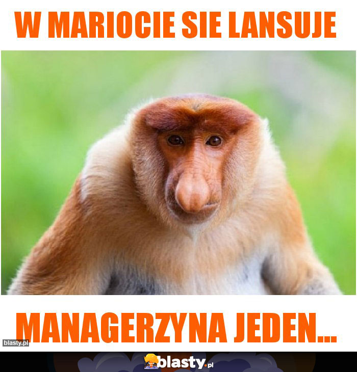 W Mariocie sie lansuje