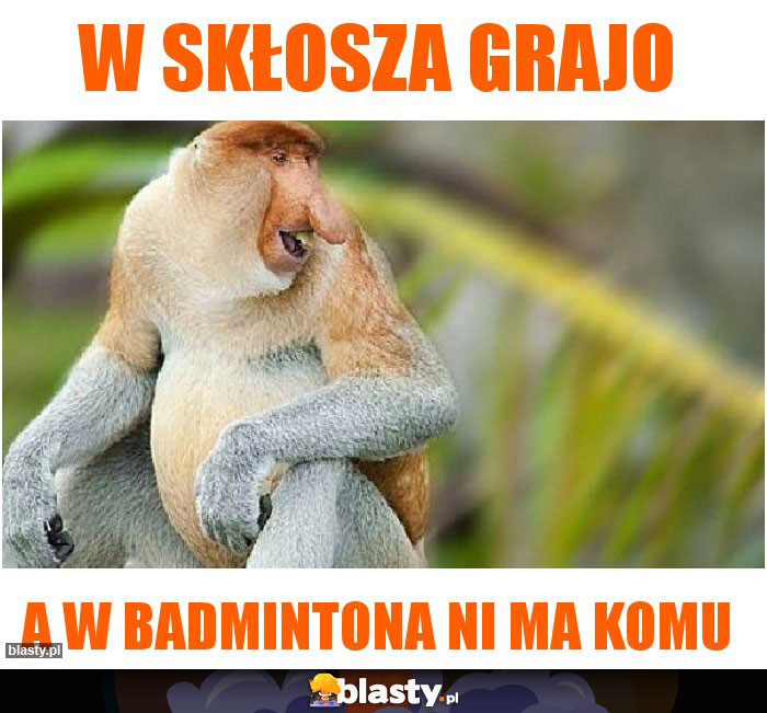 W skłosza grajo